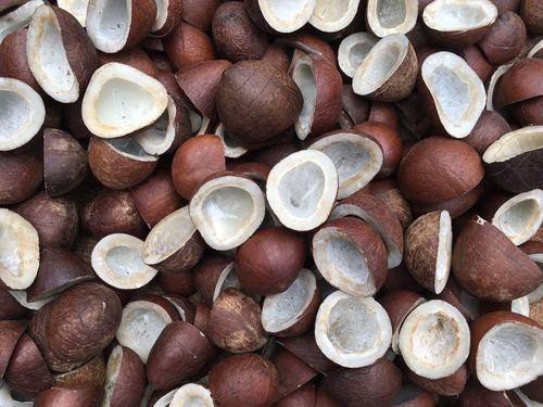 cooking_oil_and_seeds