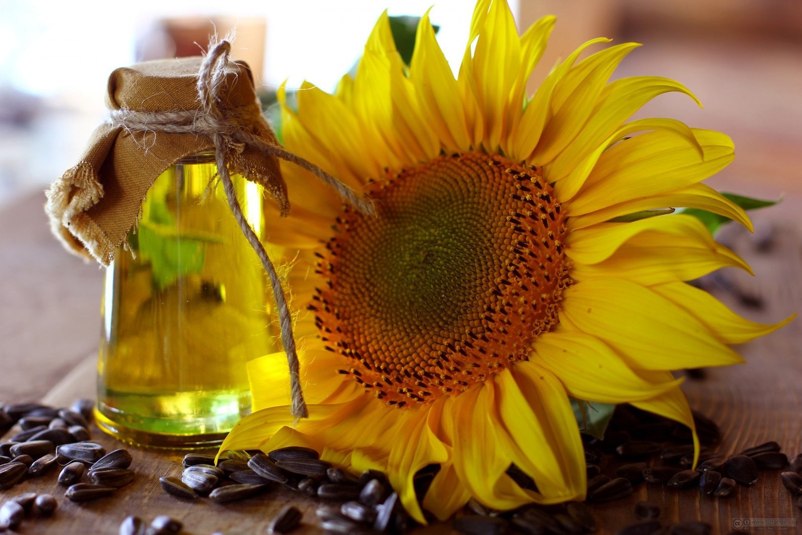 cooking_oil_and_seeds