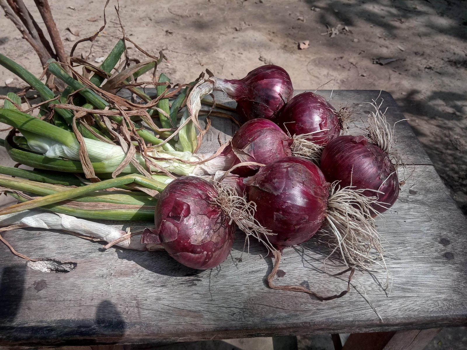 agro_products