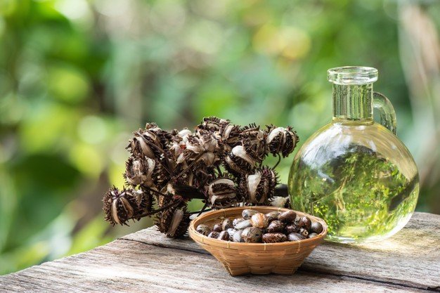 cooking_oil_and_seeds