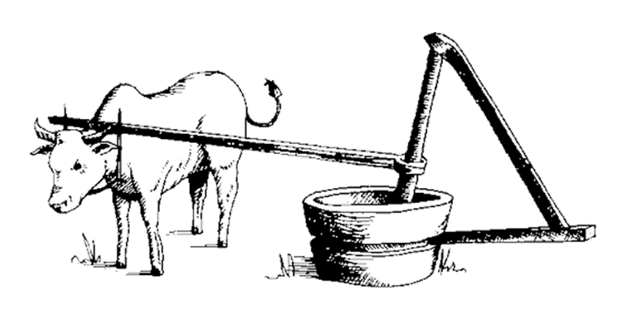 traditional_oil_extraction""
