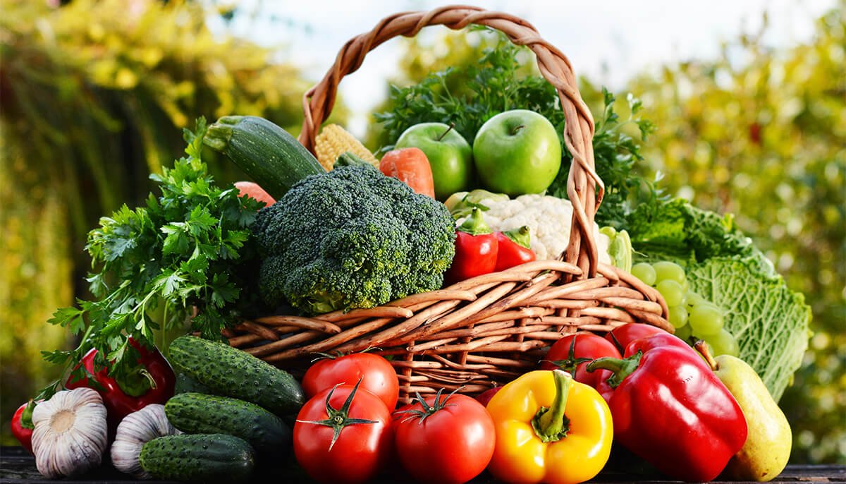 veg_banner